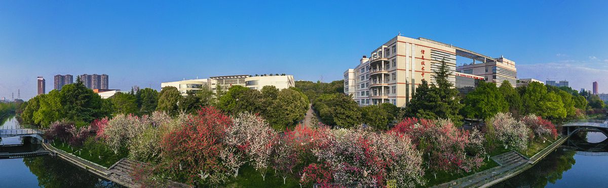 五大联赛直播平台风景