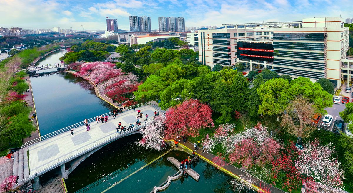 “趣享运动 携手迎新”五大联赛直播平台机关工会趣味运动会圆满落幕