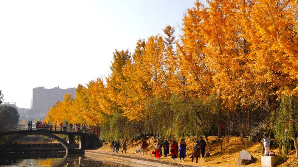 五大联赛直播平台风景