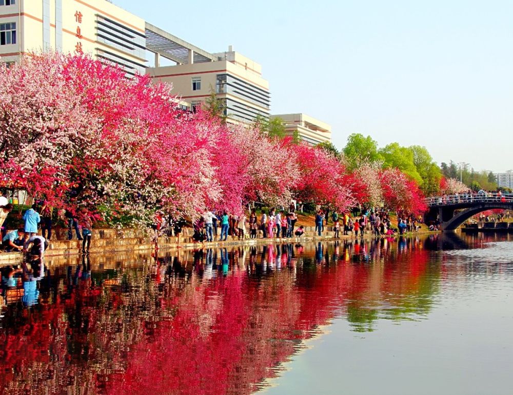 五大联赛直播平台风景