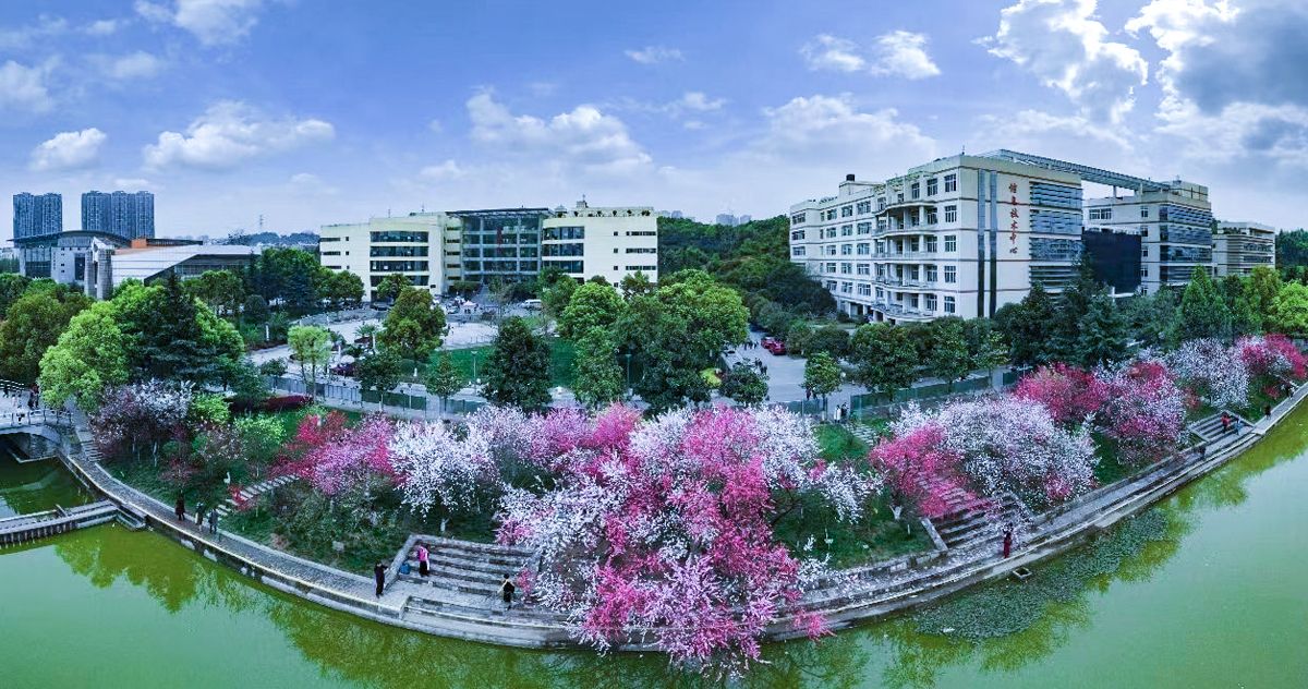 五大联赛直播平台风景