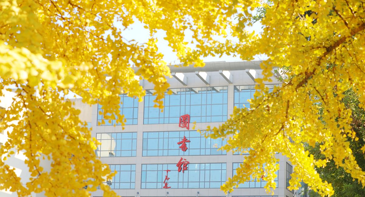 五大联赛直播平台风景